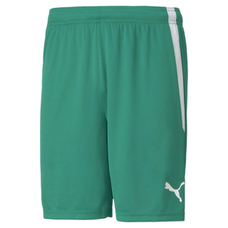 PUMA TEAMLIGA SHORT VERT