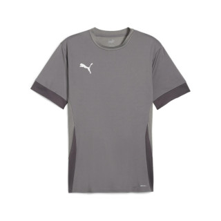 PUMA TEAMGOAL MATCHDAY GRIS