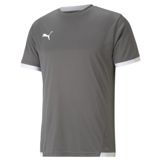 PUMA TEAMLIGA JERSEY GRIS